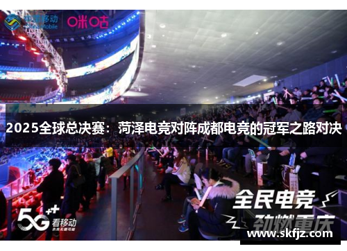 2025全球总决赛：菏泽电竞对阵成都电竞的冠军之路对决